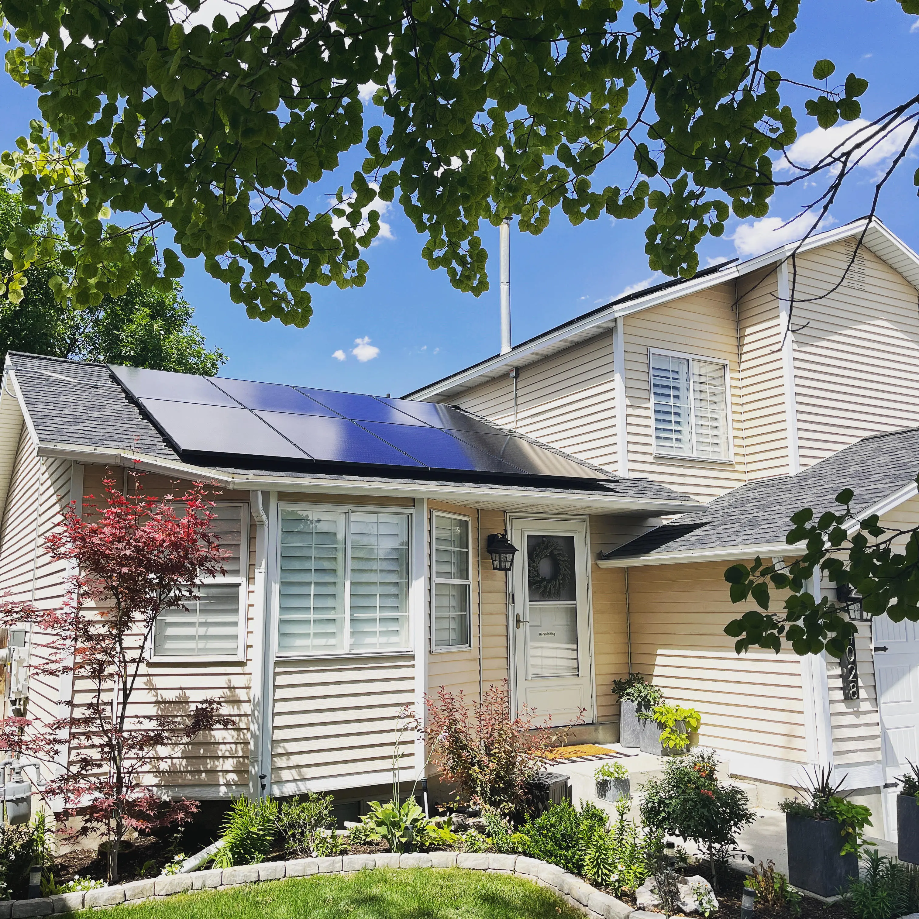 Solar panels installed on a Utah home, framed by tree leaves